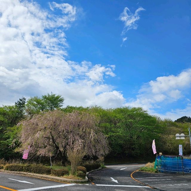 造就別府溫泉鄉的日本名山鶴見岳⛰️