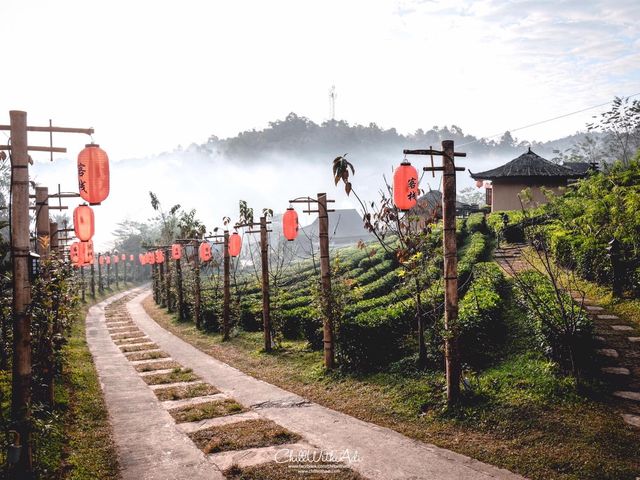 ลีไวน์รักไทย รีสอร์ท จ.แม่ฮ่องสอน 🌿