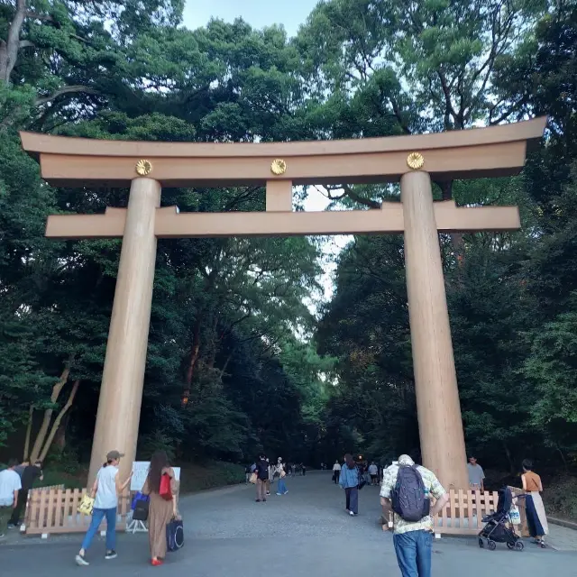 Japan Travels: Visiting Meiji Jingu, Shibuya