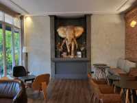  Hassadin cafe and brew