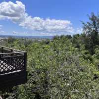 Healing with nature at Miri