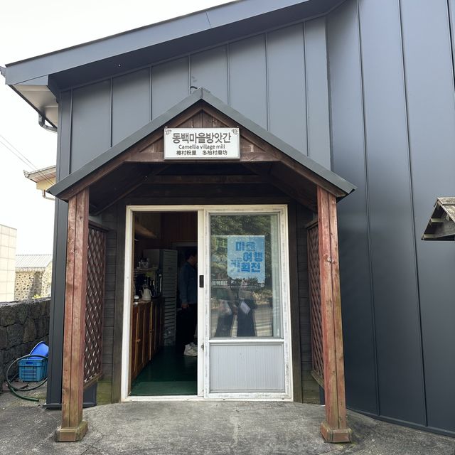 済州島の椿村で体験プログラムに参加してきました