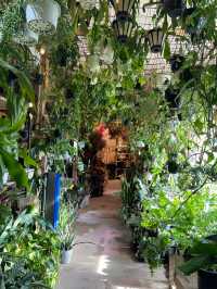 sbotanical エスボタニカル