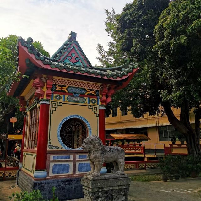 🌲👀 青松觀～綠意滿滿的寶藏！🌲👀🌳