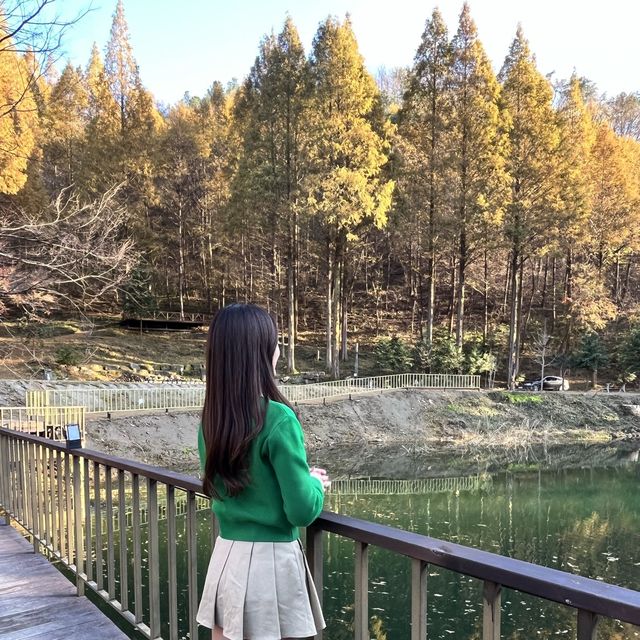 가을에 더 예쁜 한국의 스위스 온빛자연휴양림