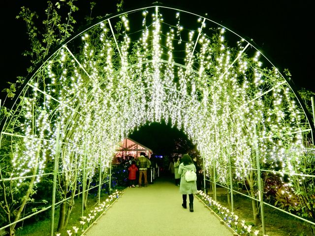 Ashikaga Flower Park