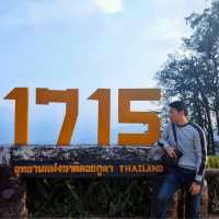 หนาวนี้ ชมพญาเสือโคร่งบาน ที่ จุดชมวิว 1715 น่านไง