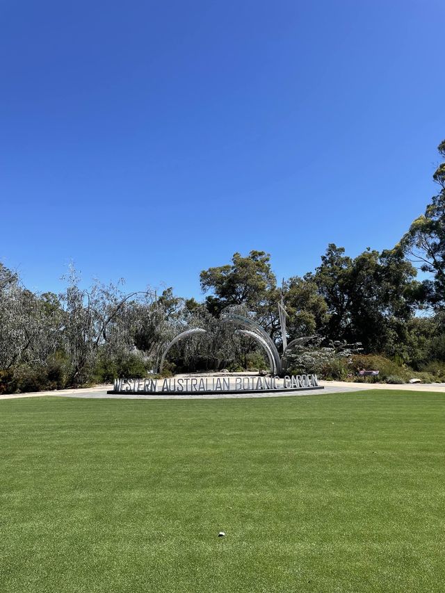 Kings Park Perth 