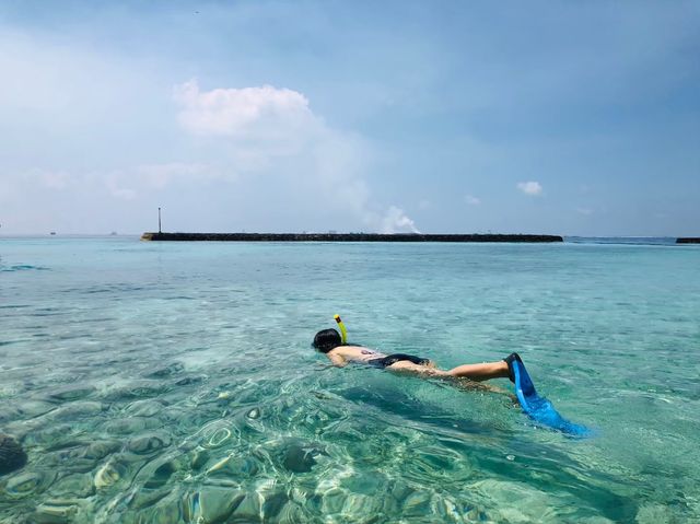 ทะเล 🌊 ณ เกาะ 🏝️มัลดีฟส์