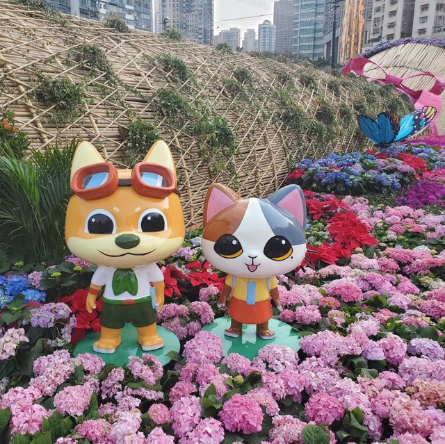 一年一度的香港花卉展覽,終於復辦喇🥳 一年一度的香港花卉展覽,終於復辦喇🥳
