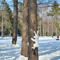 눈이 가득한 삿포로의 마루야마 공원 円山公園 일본여행