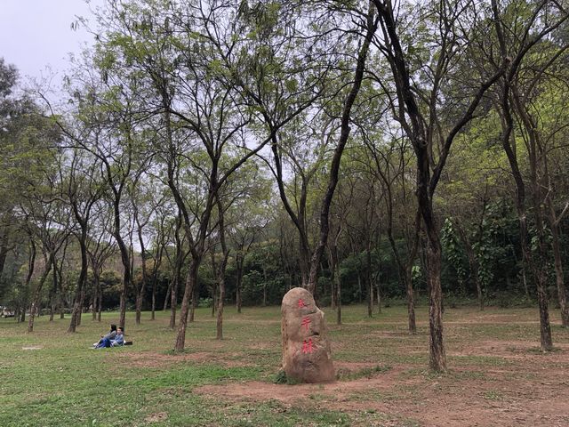 蓮花山公園🏃🏃🏃