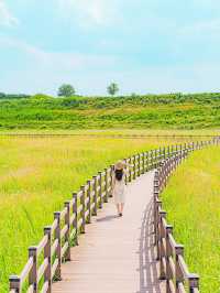 🌿5월 꼭 가봐야할 대구•경주 여행지🌸