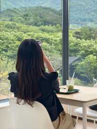 의왕 백운호수 숲속 뷰 카페 추천 : 호야스(HOYAS)