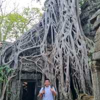 Ancient Temple - TaProhm Temple 