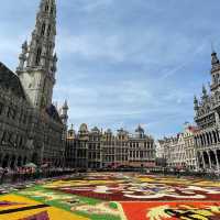 BRUSSELS, BELGIUM🇧🇪 (Flower Carpet)