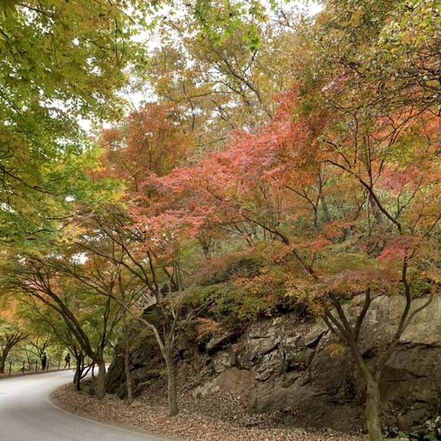 가을 단풍 여행의 명소, 내장사