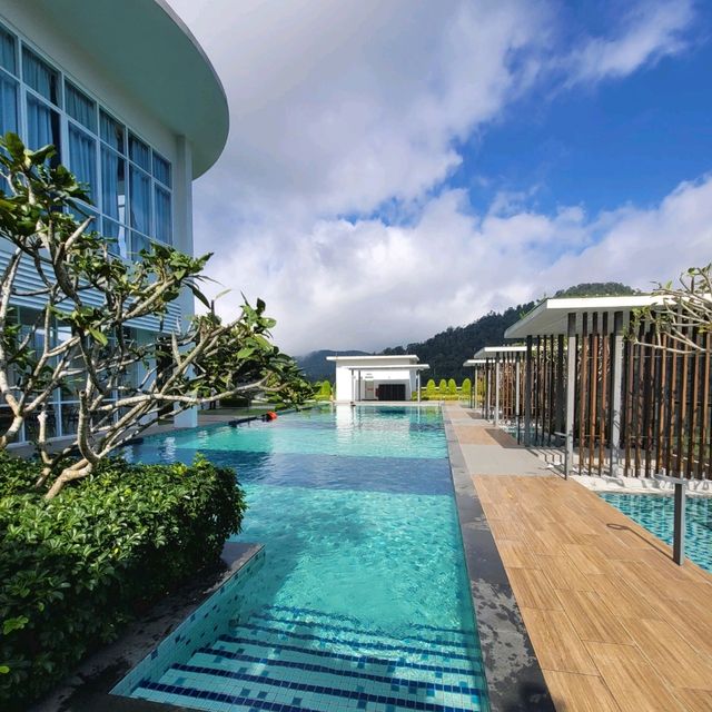 Swim with a View 