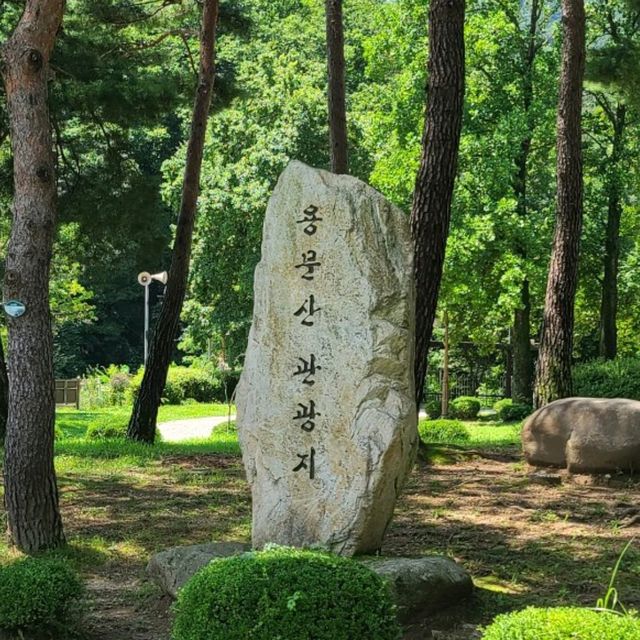 녹음이 우거진 숲길 물소리 들으며 원주 용문사에서 즐거운 오후