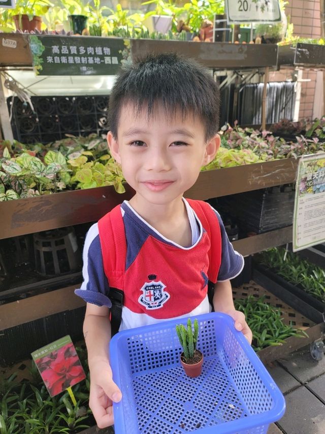 帶綿綿行花墟 帶綿綿行花墟