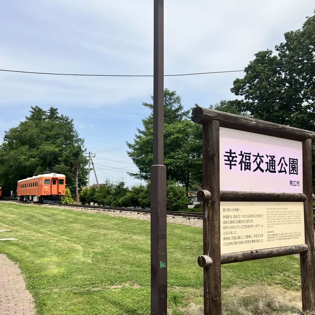 從愛的國度前往幸福，北海道夏日情侶遊