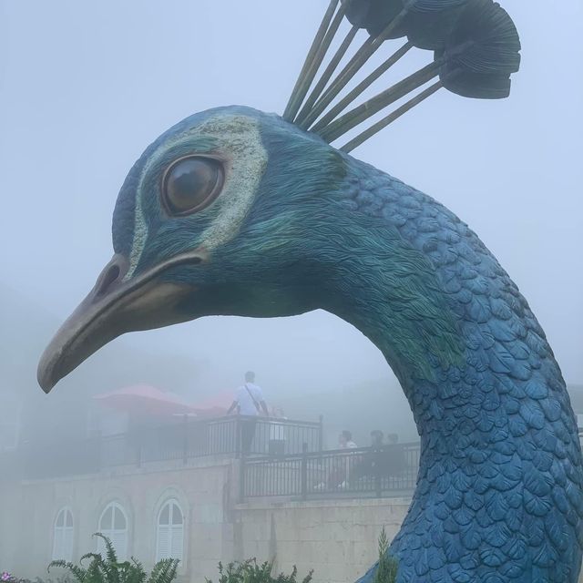 🕊️有如🐒悟空在佛祖掌心🤚的越南巴拿山佛手橋|🎍