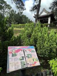 好值得細心閱覽嘅九龍寨城公園