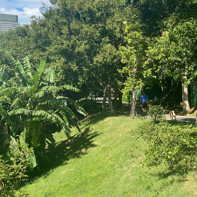 老街溪翠堤橋 🌱