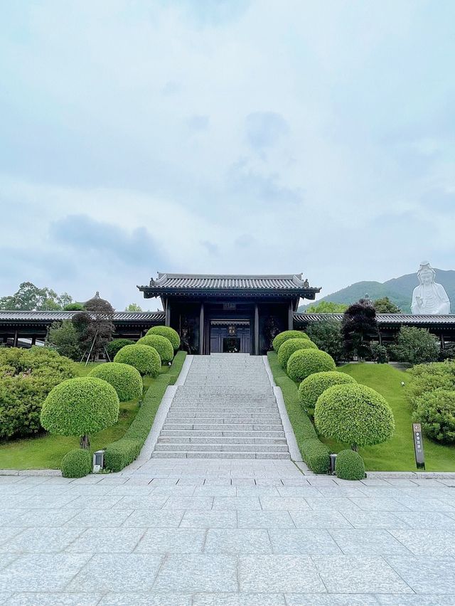 TSZ Shan Monastery📍Hong Kong