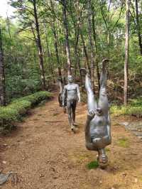 숲에서 공룡을 만날 수 있다면?!