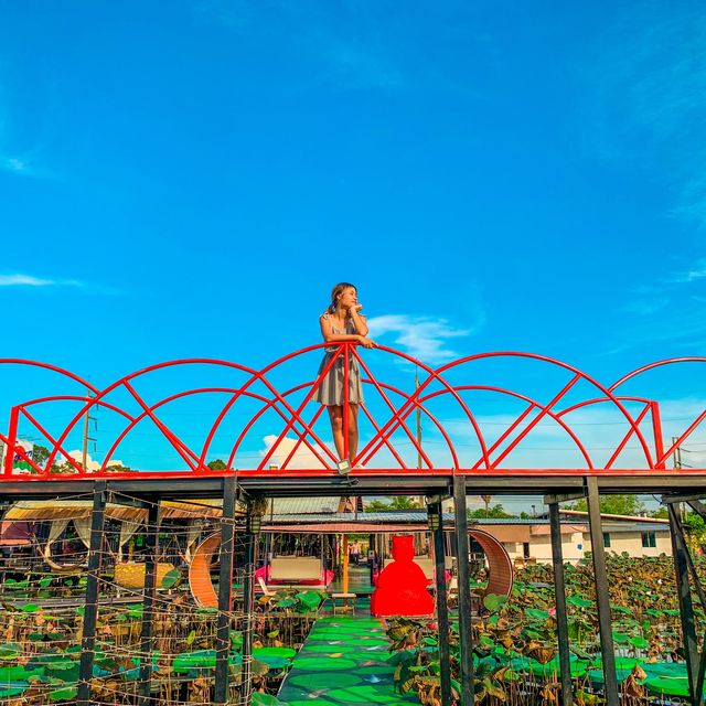 สวนอาหารที่มีมุมถ่ายรูปเยอะ‼️