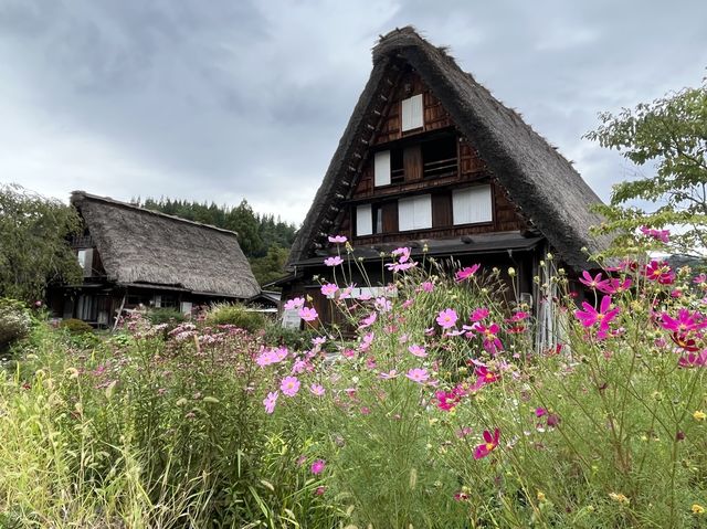 造訪世界遺產 @ 白川鄉合掌造聚落