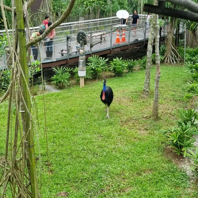 Singapore's Largest Bird Paradise 🦜🐦