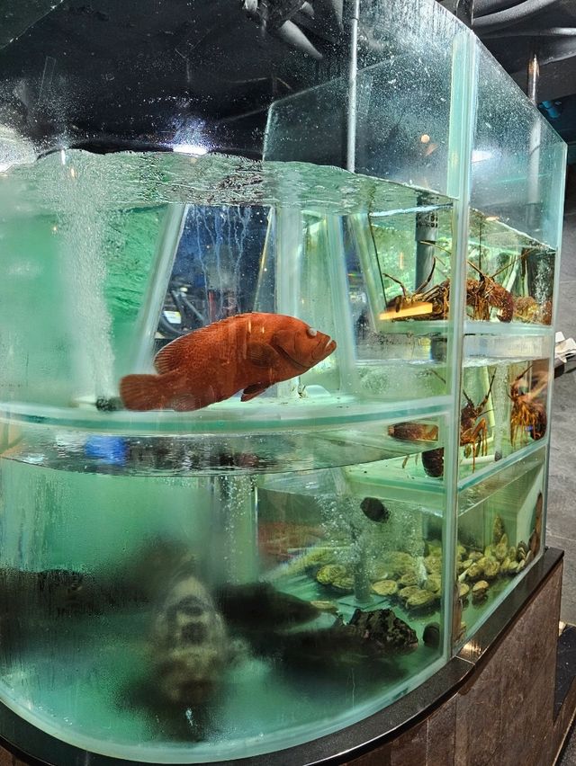 🪔神燈必吃🥢鮑魚啫啫雞🦆黑松露玻璃燒鵝
