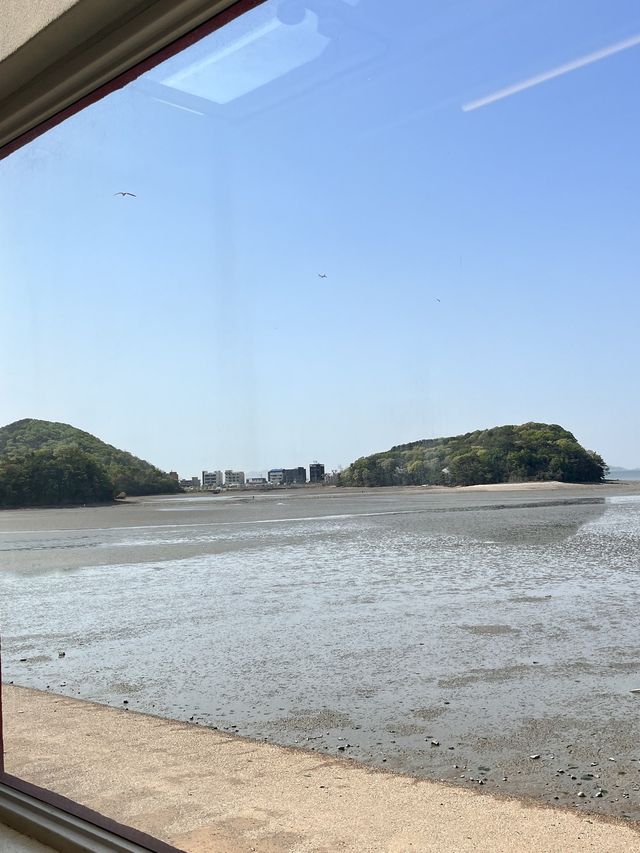 📌 서울근교 당일치기 - 대부도 “왐왐커피” , “구봉도-해솔길” 