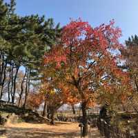 추억이 새록새록 피어나는 수학여행지 명소 “경주”