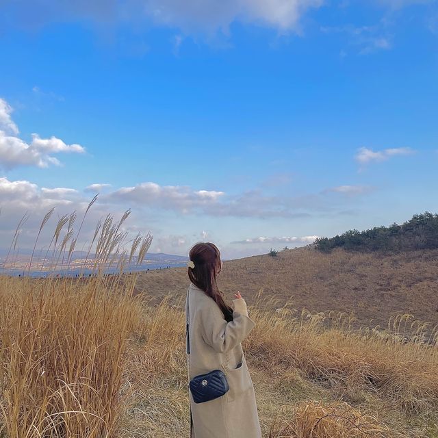 제주여행 노을보기 좋은 오름추천, “금오름”💛