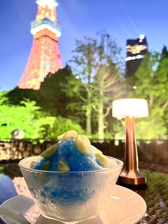 東京鐵塔秘景餐廳🗼🥂