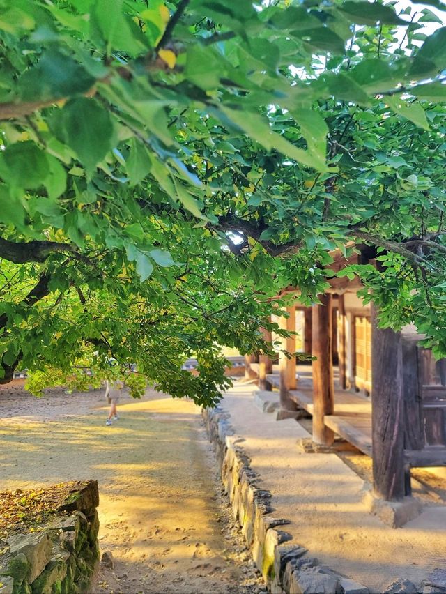 늦가을 즐기기 좋은 밀양여행지🍂