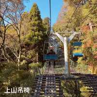 東京紅葉實況