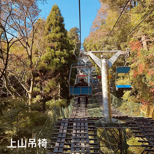 東京紅葉實況
