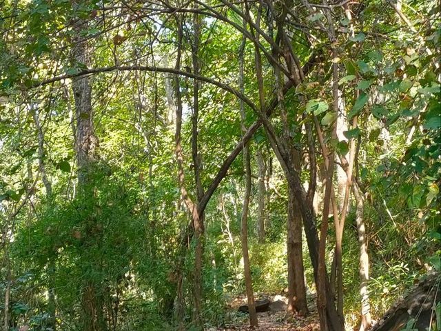 อุทยานแห่งชาติภูพาน
