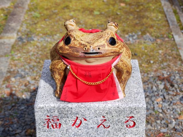 【京都市】無数の鳥居をくぐり山頂へ⛩