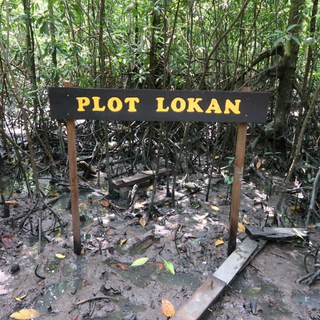 Venture into the Heart of Tanjung Piai