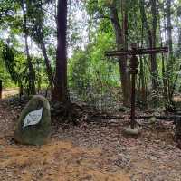 Hiking at Macritchie Nature Trail