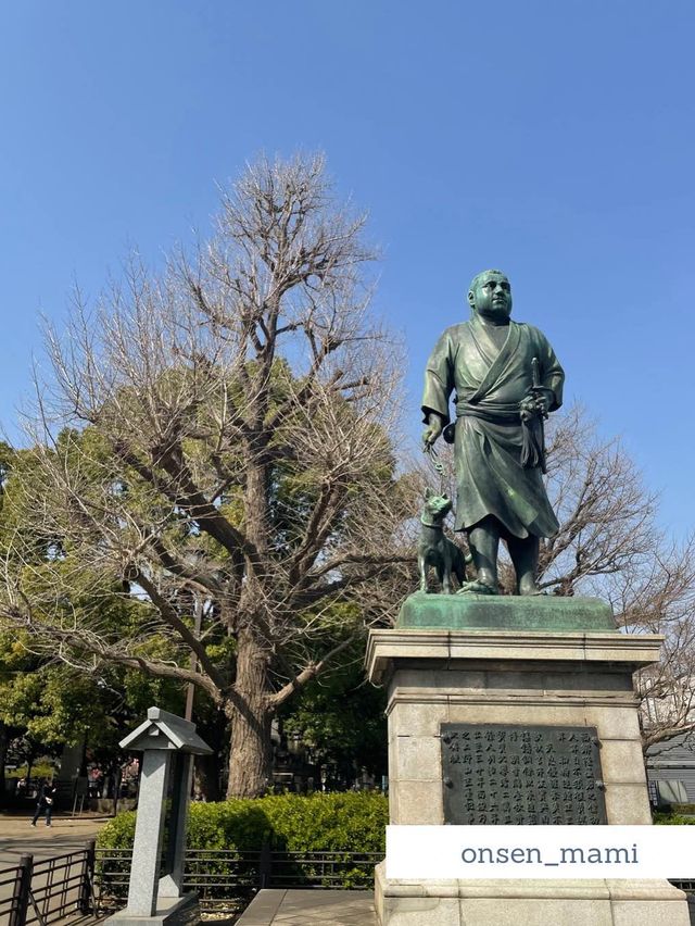【東京 上野】桜の時期におすすめ🌸上野公園お散歩👣