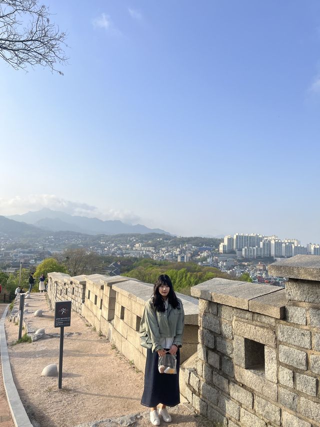 이번 주말에는 서울 낙산공원에서 봄꽃 구경 어떠세요? 🫶