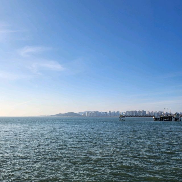 이제 여름! 바다가고 싶다면 월미도 바다🌊