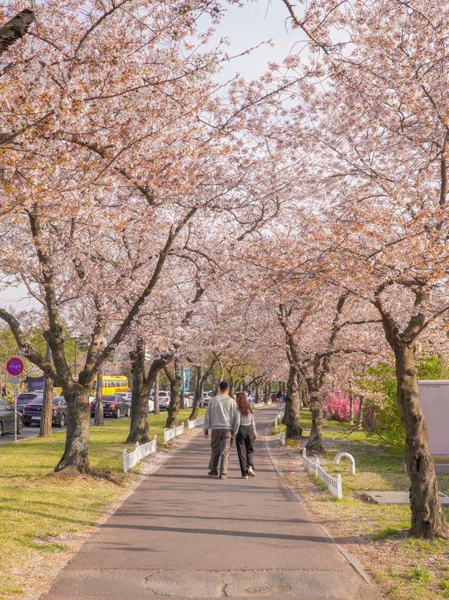 영화 속 한 장면 같던 황룡원 💞