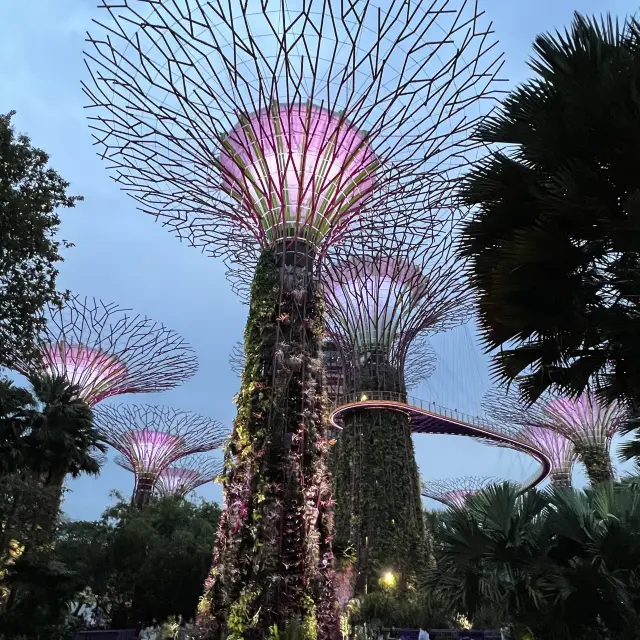 Garden by the Bay โยมยักษ์อลังการที่ห้ามพลาด!